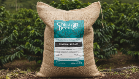 Chica Bean Bulk 12oz. Bag: 25 bags